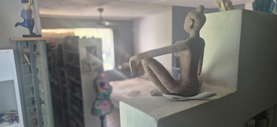  Bedroom Property for Sale in Dan Pienaar Free State